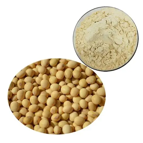 Nattokinase Powder