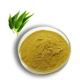 Saw Palmetto Extract
