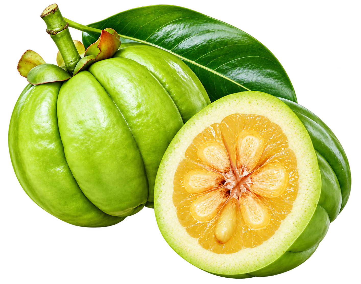 Garcinia cambogia fruit